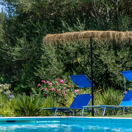 Sunny Hill-4 By Interhome